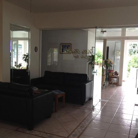 Villa Kosta Apartments MANI Extérieur photo